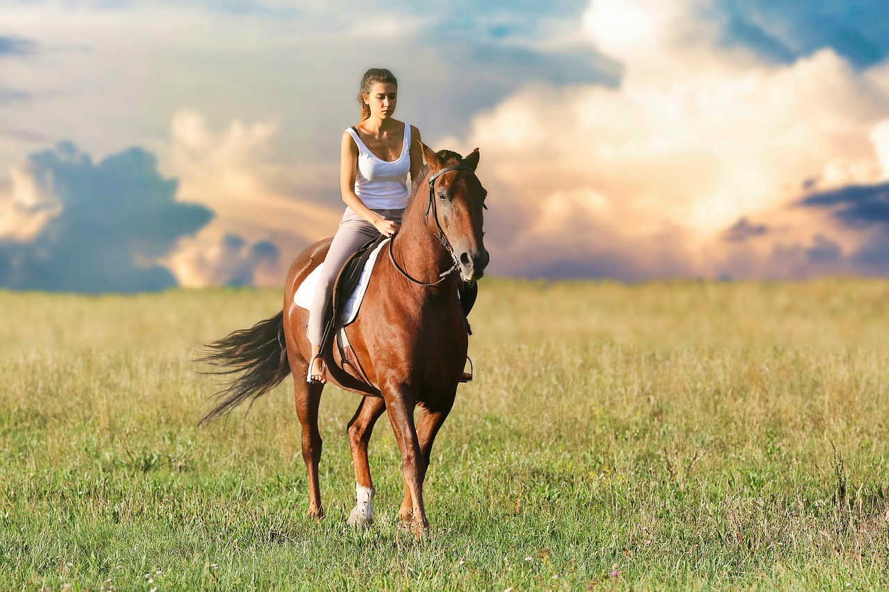 Rid och umgås med hästar på semestern